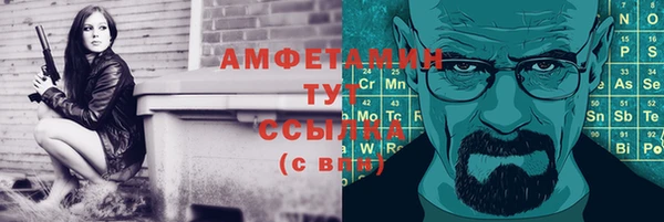 шишки Медногорск