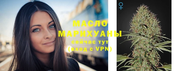 шишки Медногорск
