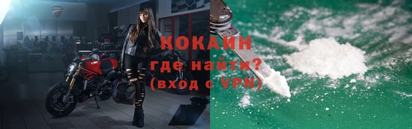 шишки Медногорск