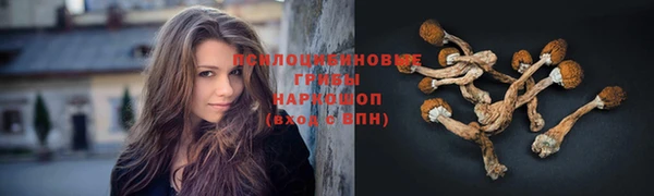 круглые Мегион