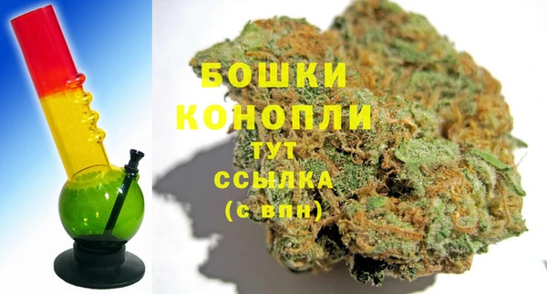 шишки Медногорск