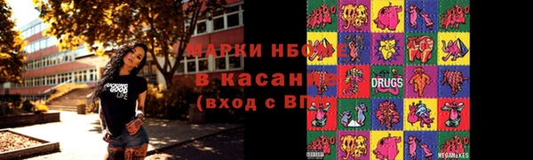 шишки Медногорск