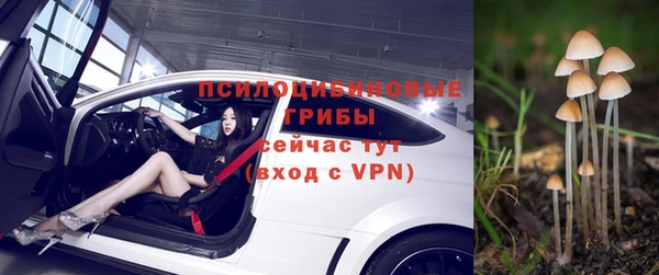 винт Медвежьегорск