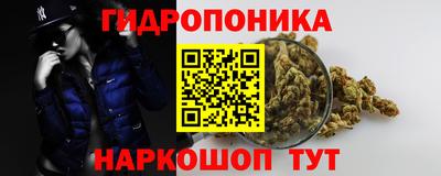 таблы Кингисепп