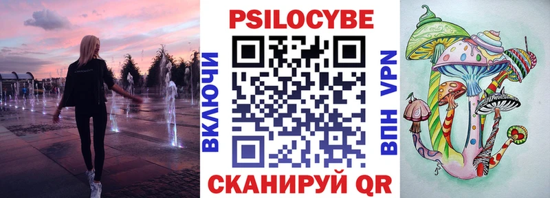 Галлюциногенные грибы Psilocybe  Холмск 