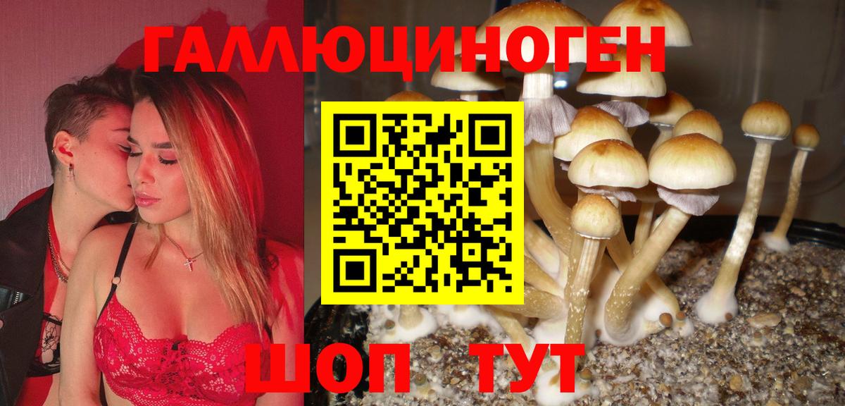 Псилоцибиновые грибы Cubensis Холмск