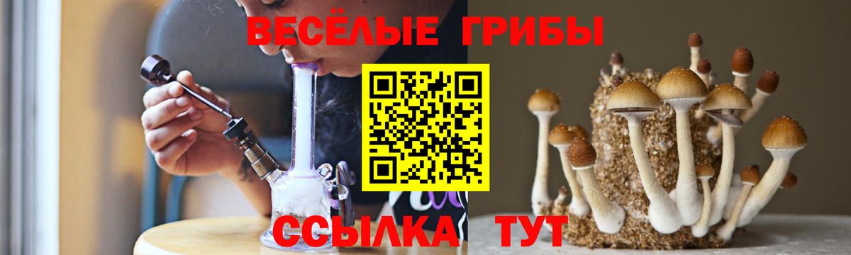 Холмск  Псилоцибиновые грибы MAGIC MUSHROOMS  Вход с VPN 